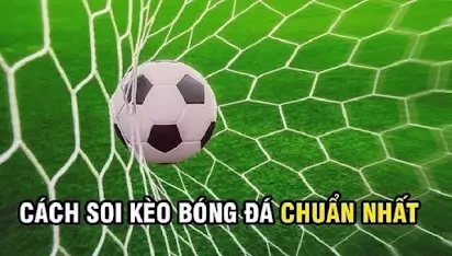 Chiến Thuật Hiệu Quả Khi Đặt Kèo Nhà Cái 123win