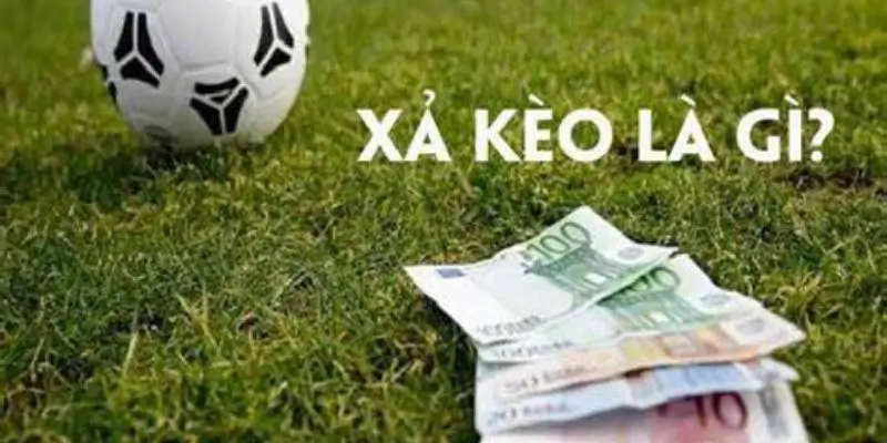 Tầm Quan Trọng Của Xả Kèo